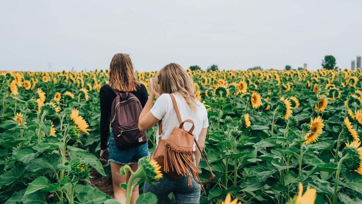 What are the Mental Health Effects of Abortion?